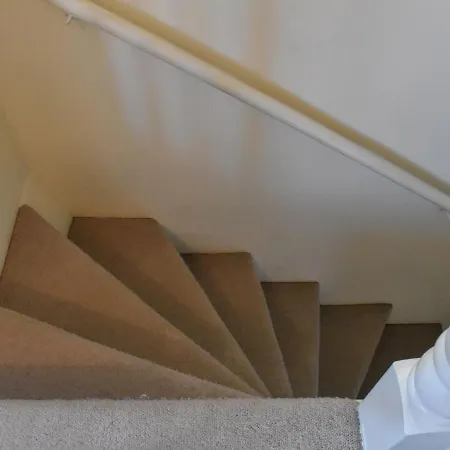 Herring וויטבי